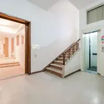 Confortevole Stanza 6 Con Bagno Privato Stazione Penzion Padova